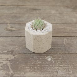 Matera Granito Mini Octagonal